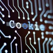 Cookies – které povolit a které zakázat