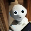 Robotická včelka Bee-Bot
